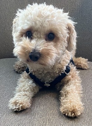 Bentley, Office Supervisor